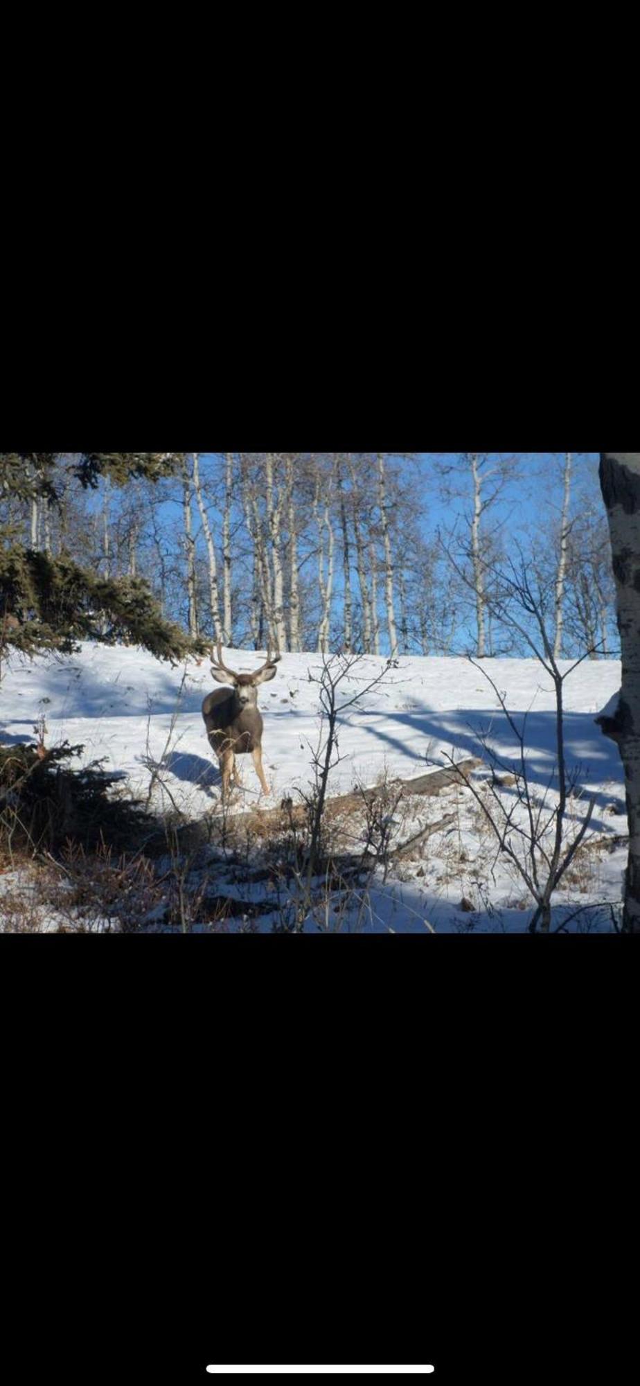 Villa Heart West Haven Priddis Exterior foto